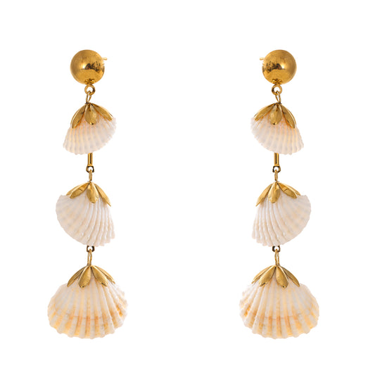 Natural Shell Drop Hangings